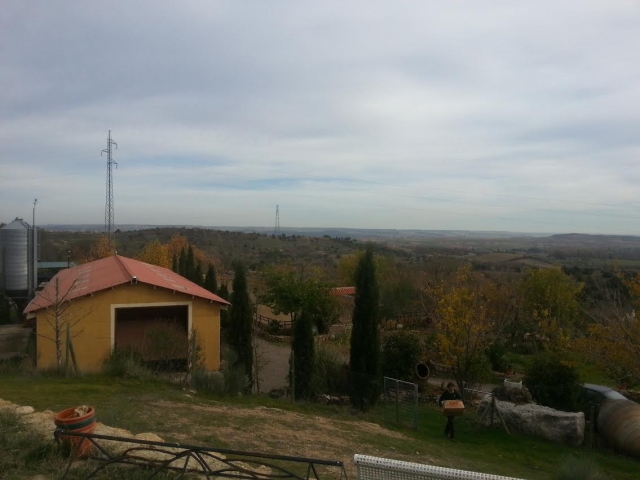 Finca de Torrelaguna